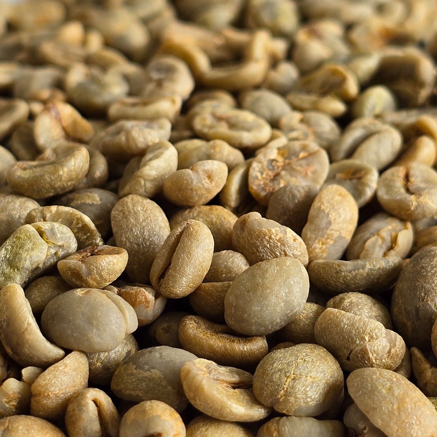 Brazil Cerrado Green Coffee Beans 1kg