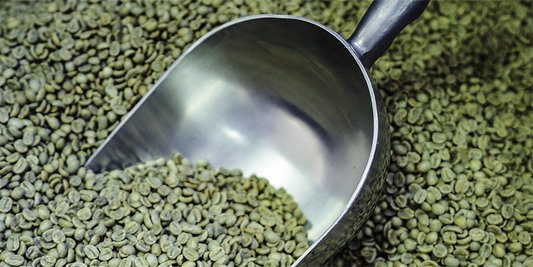 Unlocking the Secrets of Green Coffee Beans