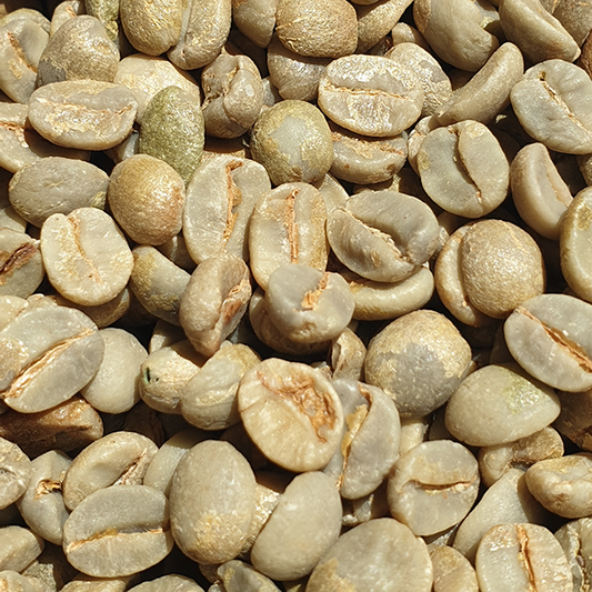 Brazil Inhame Estate Green Coffee Beans 1kg