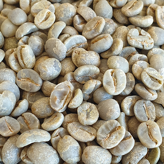 Brazil Ipanema RFA Green Coffee Beans 1kg