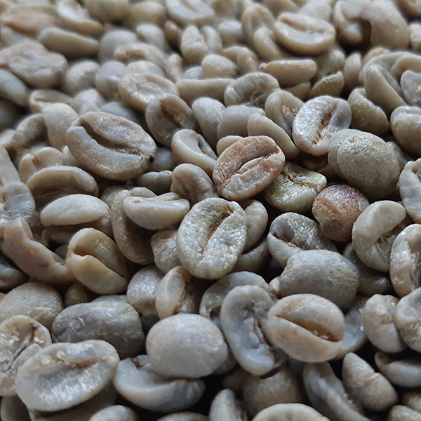 Brazil Samba Reserve Green Coffee Beans 1kg