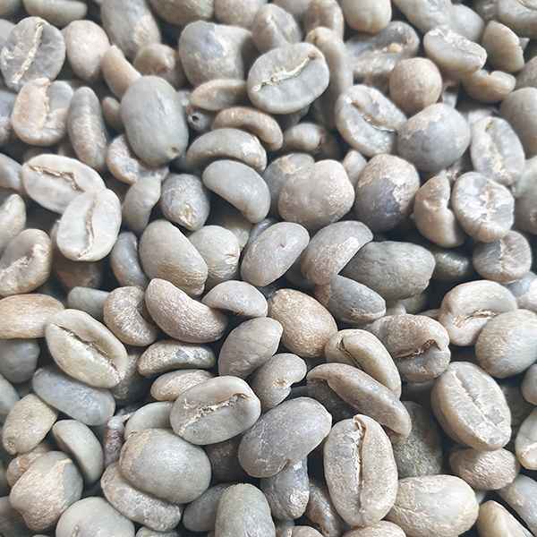 Colombian Excelso Green Coffee Beans 1kg