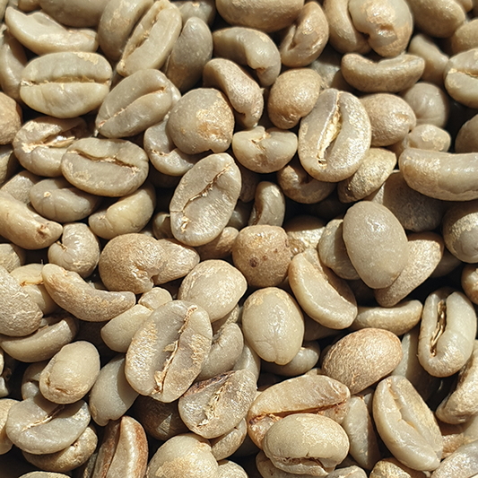 El Salvador Monte Sion Estate Green Coffee Beans 1kg