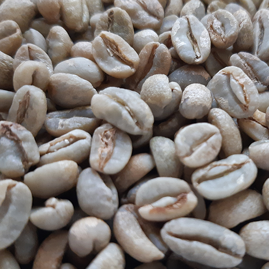 Ethiopian Sidama Organic Green Coffee Beans 1kg