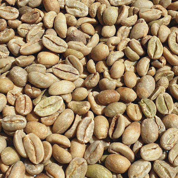 Ethiopian Guji Organic Green Coffee Beans 1kg