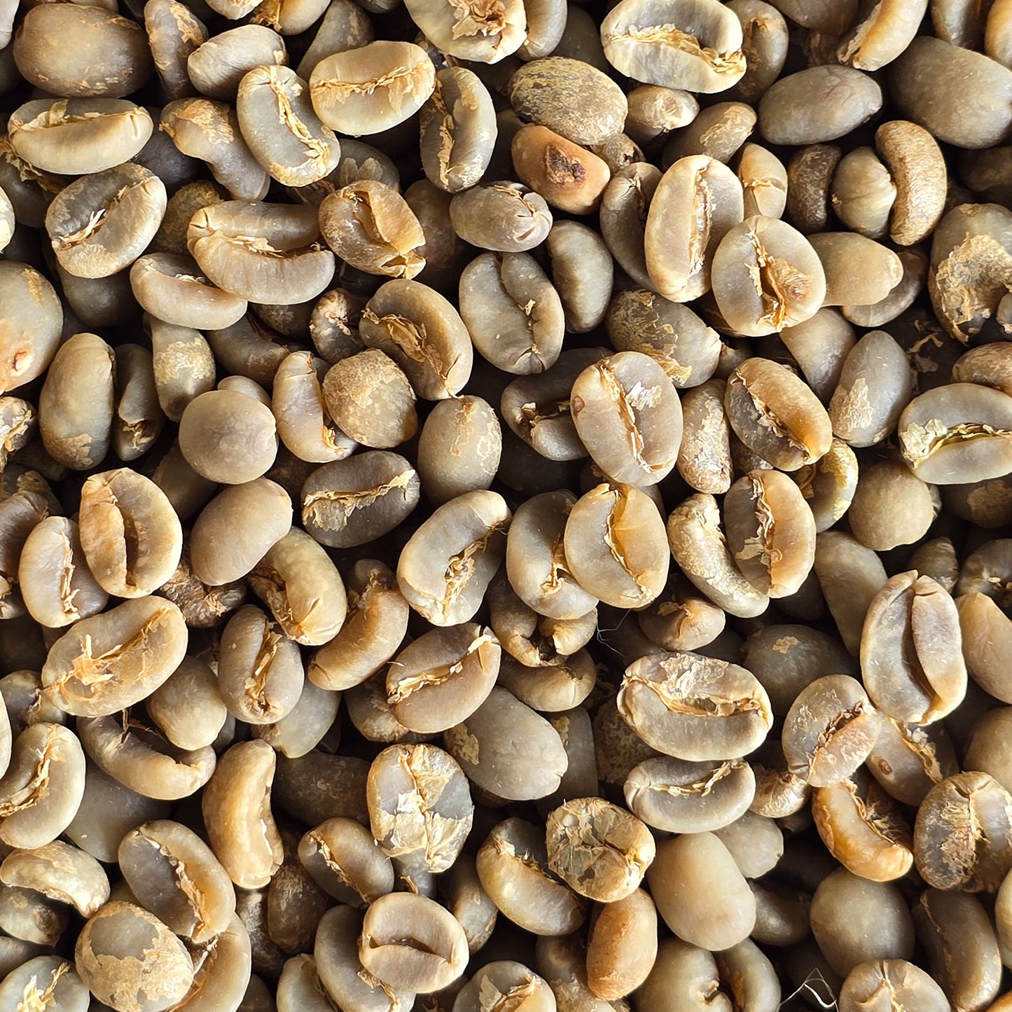 Indonesia Sumatran Green Coffee Beans 1kg