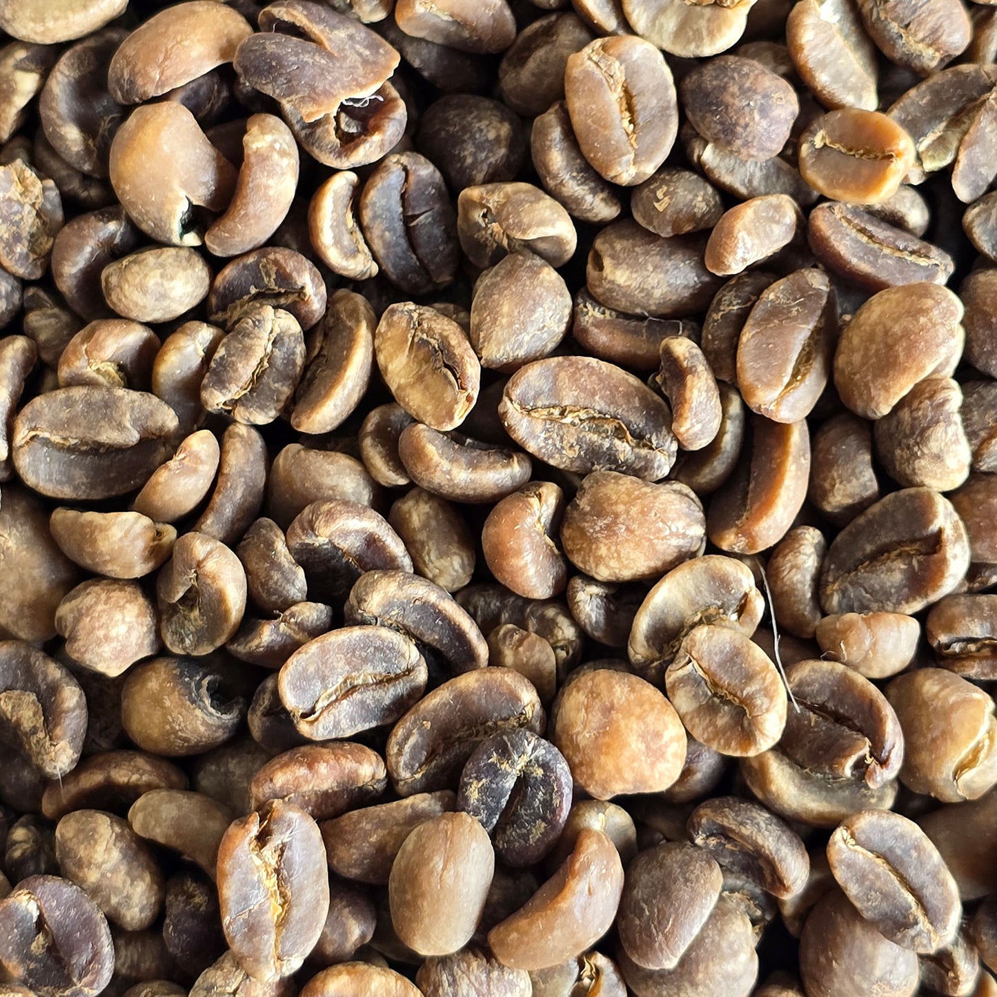 Decaf Organic Green Coffee Beans 1kg